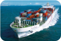 Hawaii Car Shipping Services